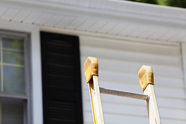 Best Steel Siding Installation  in Greensboro, AL